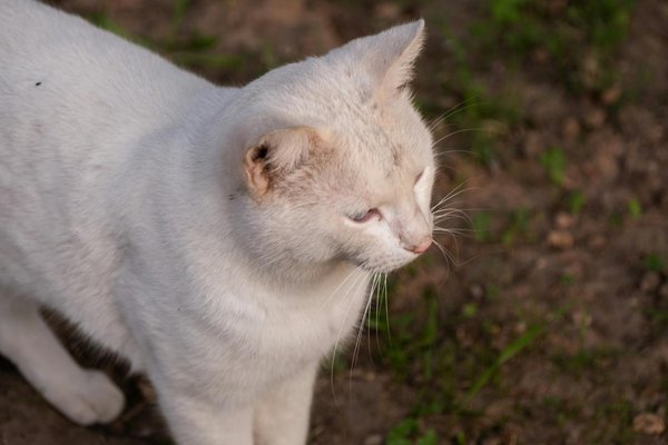 How Can UK Businesses Survive Economic Downturns?